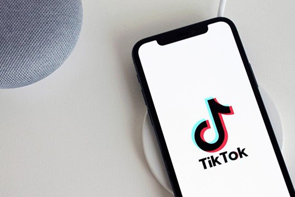  TikTok Followers [ HQ ] Refill
